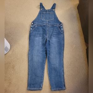 Old Navy OG Straight Dark Wash Jean Overalls